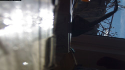 Pohled na jih, hrad Trosky