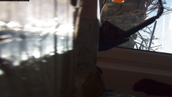 Pohled na jih, hrad Trosky