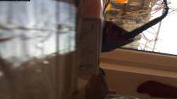 Pohled na jih, hrad Trosky