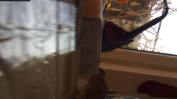 Pohled na jih, hrad Trosky