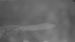 Spodní část sjezdovky