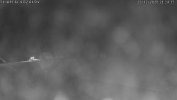 Spodní část sjezdovky