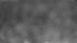 Spodní část sjezdovky