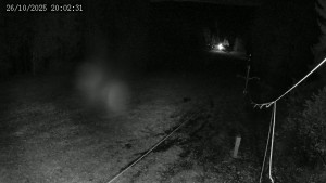 Lyžařský areál Hradiště - Sjezdovka - 26.10.2025 v 20:02 Lyžařský areál Hradiště - Sjezdovka - 26.10.2025 v 20:02