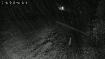 Snímek 3.11.2025 v 04:32