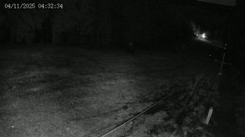 Snímek    4.11.2025 v 04:32