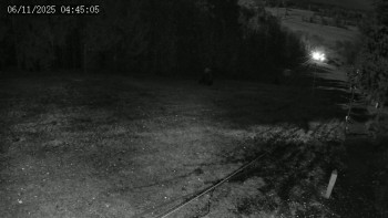 Snímek 6.11.2025 v 04:45