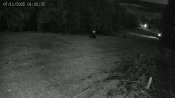 Snímek 7.11.2025 v 01:02