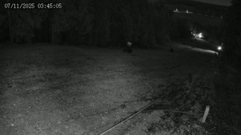 Snímek 7.11.2025 v 03:45