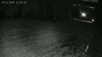 Snímek 7.11.2025 v 19:32