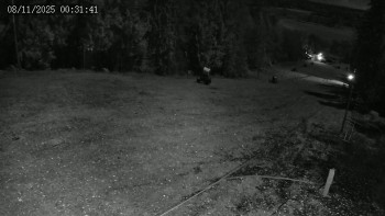 Snímek 8.11.2025 v 00:32