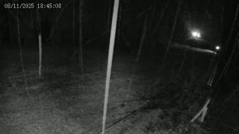 Snímek 8.11.2025 v 18:45