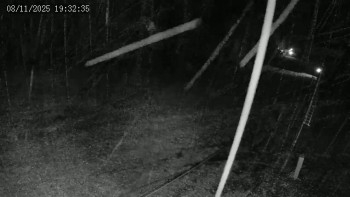 Snímek 8.11.2025 v 19:32