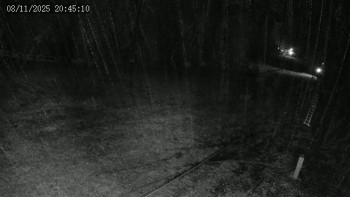 Snímek 8.11.2025 v 20:45