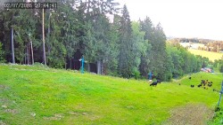 Sjezdovka