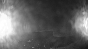 Snímek    26.10.2025 v 04:15