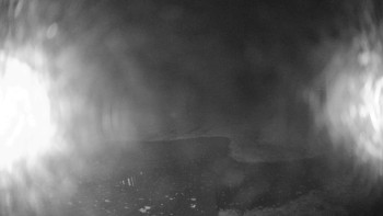 Snímek    26.10.2025 v 04:30