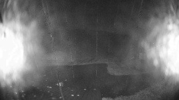 Snímek    3.11.2025 v 02:30