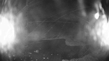 Snímek    3.11.2025 v 02:45