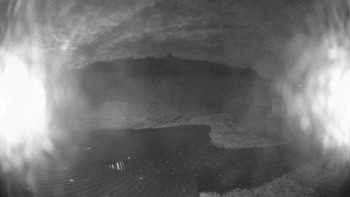 Snímek    4.11.2025 v 02:45