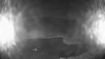 Snímek    4.11.2025 v 05:30