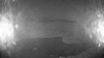 Snímek 5.11.2025 v 23:00