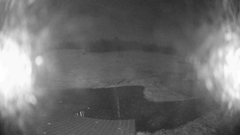 Snímek 7.11.2025 v 02:30