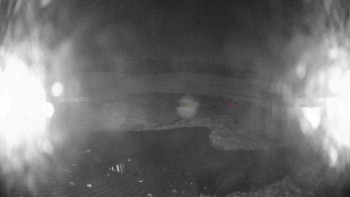 Snímek 7.11.2025 v 19:30