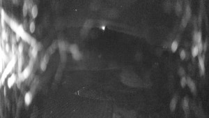 Skiareál Kozí pláně - Sjezdovka - 25.3.2026 v 00:15 Skiareál Kozí pláně - Sjezdovka - 25.3.2026 v 00:15