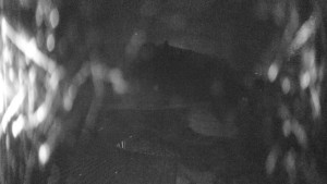 Skiareál Kozí pláně - Sjezdovka - 25.3.2026 v 01:00 Skiareál Kozí pláně - Sjezdovka - 25.3.2026 v 01:00