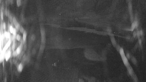 Skiareál Kozí pláně - Sjezdovka - 5.4.2026 v 01:15 Skiareál Kozí pláně - Sjezdovka - 5.4.2026 v 01:15