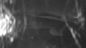 Skiareál Kozí pláně - Sjezdovka - 5.4.2026 v 01:45 Skiareál Kozí pláně - Sjezdovka - 5.4.2026 v 01:45