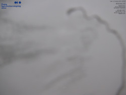 Jaderná elektrárna Dukovany