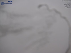 Jaderná elektrárna Dukovany