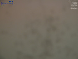 Jaderná elektrárna Dukovany