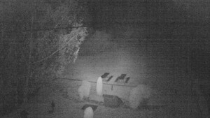 Horský hotel Čarták na Soláni - Ski Čarták Soláň - 2.11.2023 v 04:00 Horský hotel Čarták na Soláni - Ski Čarták Soláň - 2.11.2023 v 04:00