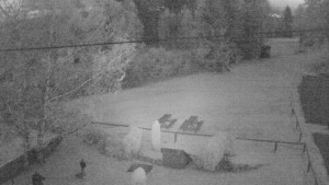 Horský hotel Čarták na Soláni - Ski Čarták Soláň - 2.11.2023 v 06:00 Horský hotel Čarták na Soláni - Ski Čarták Soláň - 2.11.2023 v 06:00