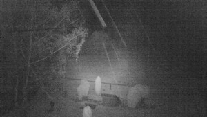 Horský hotel Čarták na Soláni - Ski Čarták Soláň - 2.11.2023 v 20:00 Horský hotel Čarták na Soláni - Ski Čarták Soláň - 2.11.2023 v 20:00