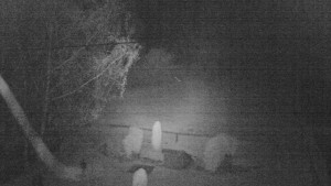 Horský hotel Čarták na Soláni - Ski Čarták Soláň - 2.11.2023 v 21:00 Horský hotel Čarták na Soláni - Ski Čarták Soláň - 2.11.2023 v 21:00