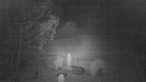 Horský hotel Čarták na Soláni - Ski Čarták Soláň - 2.11.2023 v 22:00 Horský hotel Čarták na Soláni - Ski Čarták Soláň - 2.11.2023 v 22:00