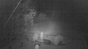 Horský hotel Čarták na Soláni - Ski Čarták Soláň - 2.11.2023 v 23:00 Horský hotel Čarták na Soláni - Ski Čarták Soláň - 2.11.2023 v 23:00