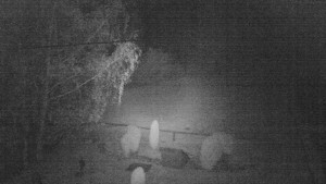 Horský hotel Čarták na Soláni - Ski Čarták Soláň - 9.11.2023 v 03:00 Horský hotel Čarták na Soláni - Ski Čarták Soláň - 9.11.2023 v 03:00