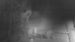 Horský hotel Čarták na Soláni - Ski Čarták Soláň - 9.11.2023 v 19:00 Horský hotel Čarták na Soláni - Ski Čarták Soláň - 9.11.2023 v 19:00