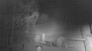 Horský hotel Čarták na Soláni - Ski Čarták Soláň - 9.11.2023 v 20:00 Horský hotel Čarták na Soláni - Ski Čarták Soláň - 9.11.2023 v 20:00