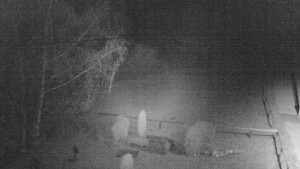 Horský hotel Čarták na Soláni - Ski Čarták Soláň - 9.11.2023 v 22:00 Horský hotel Čarták na Soláni - Ski Čarták Soláň - 9.11.2023 v 22:00