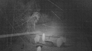 Horský hotel Čarták na Soláni - Ski Čarták Soláň - 15.11.2023 v 00:00 Horský hotel Čarták na Soláni - Ski Čarták Soláň - 15.11.2023 v 00:00