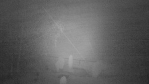 Horský hotel Čarták na Soláni - Ski Čarták Soláň - 15.11.2023 v 02:00 Horský hotel Čarták na Soláni - Ski Čarták Soláň - 15.11.2023 v 02:00