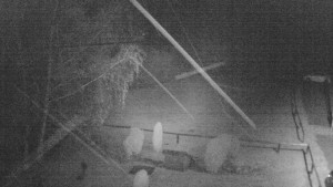 Horský hotel Čarták na Soláni - Ski Čarták Soláň - 15.11.2023 v 05:00 Horský hotel Čarták na Soláni - Ski Čarták Soláň - 15.11.2023 v 05:00