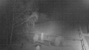 Horský hotel Čarták na Soláni - Ski Čarták Soláň - 15.11.2023 v 20:00 Horský hotel Čarták na Soláni - Ski Čarták Soláň - 15.11.2023 v 20:00