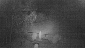 Horský hotel Čarták na Soláni - Ski Čarták Soláň - 16.11.2023 v 01:00 Horský hotel Čarták na Soláni - Ski Čarták Soláň - 16.11.2023 v 01:00